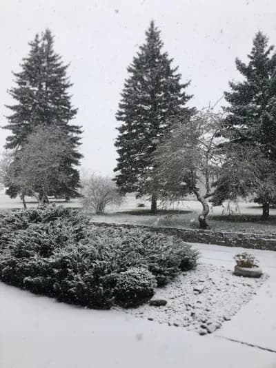 Zasnezena zahrada Myslivny Hrusovany v zime