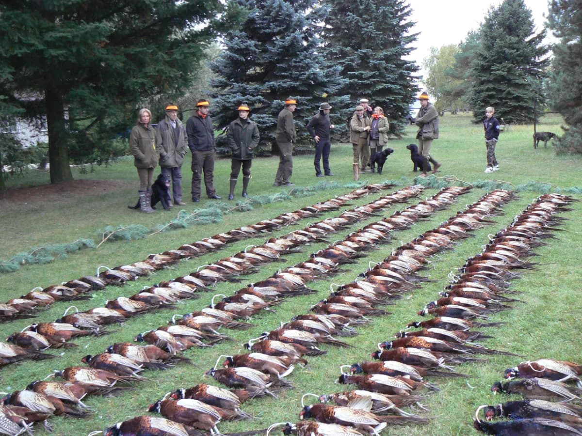 Firemní a komunitní akce